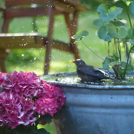 Сasa de vacaciones Kupershof *