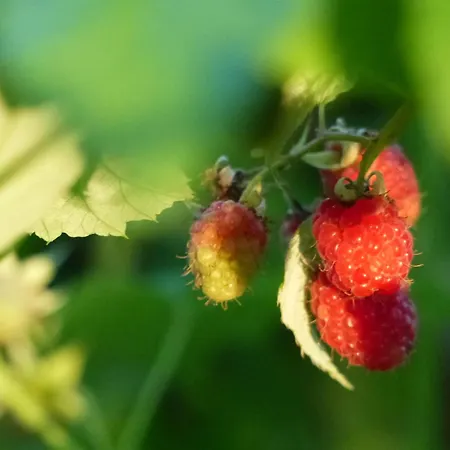 Сasa de vacaciones Kupershof *