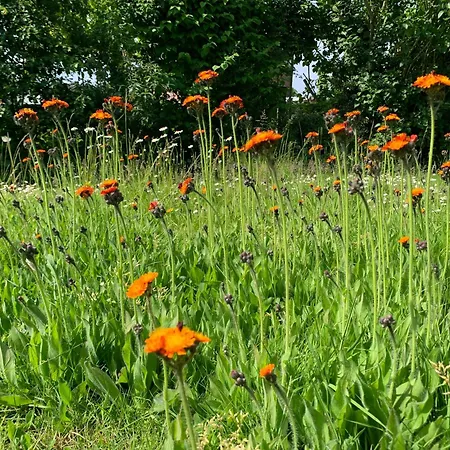 Сasa de vacaciones Kupershof