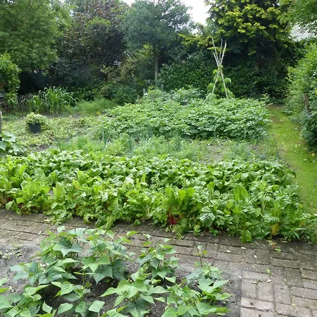 Vakantiehuis Kupershof