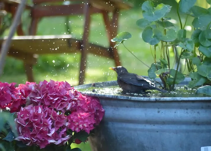 度假居 Kupershof *