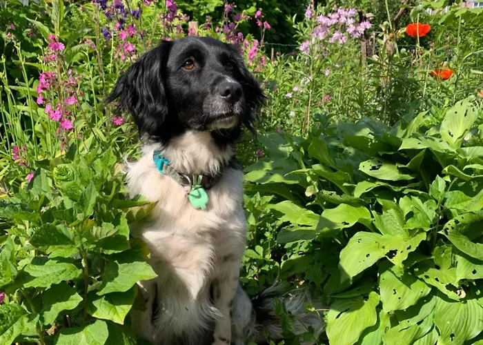 Kupershof 度假居 *