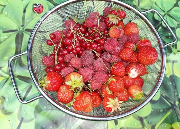 Kupershof 度假居 *