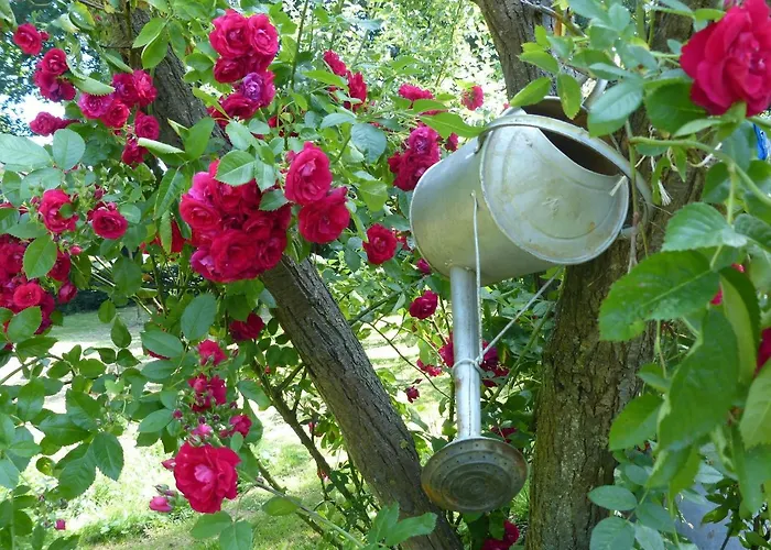 度假居 Kupershof *